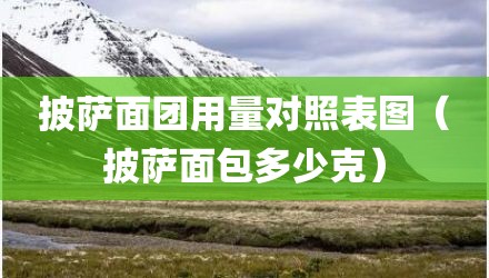 披萨面团用量对照表图（披萨面包多少克）