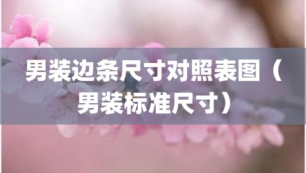 男装边条尺寸对照表图（男装标准尺寸）