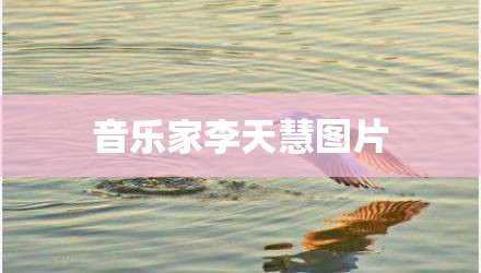 音乐家李天慧图片