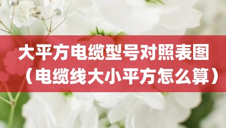 大平方电缆型号对照表图（电缆线大小平方怎么算）