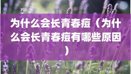 为什么会长青春痘（为什么会长青春痘有哪些原因）