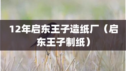 12年启东王子造纸厂（启东王子制纸）