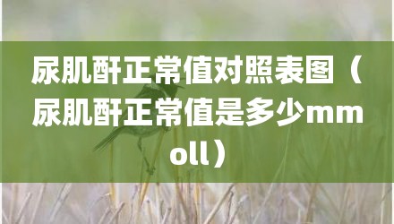 尿肌酐正常值对照表图（尿肌酐正常值是多少mmoll）