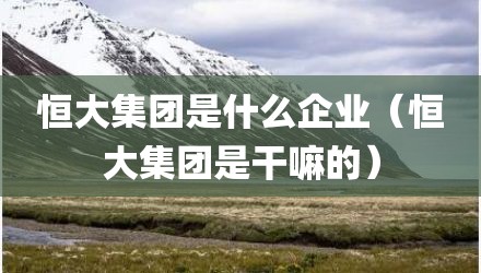 恒大集团是什么企业（恒大集团是干嘛的）