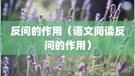 反问的作用（语文阅读反问的作用）