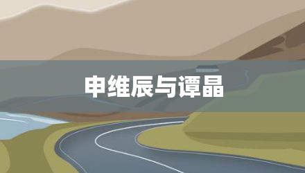 申维辰与谭晶