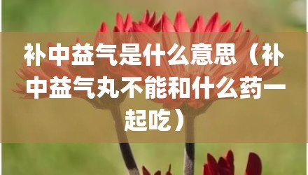补中益气是什么意思（补中益气丸不能和什么药一起吃）