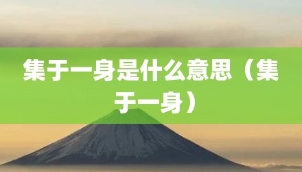 集于一身是什么意思（集 于一身）