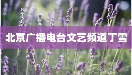 北京广播电台文艺频道丁雪