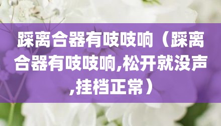踩离合器有吱吱响（踩离合器有吱吱响,松开就没声,挂档正常）