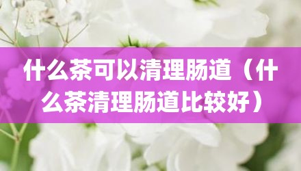 什么茶可以清理肠道（什么茶清理肠道比较好）