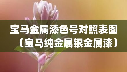宝马金属漆色号对照表图（宝马纯金属银金属漆）