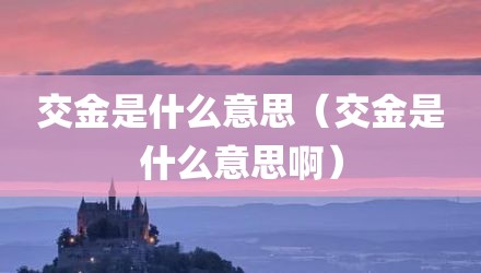 交金是什么意思（交金是什么意思啊）