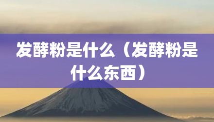 发酵粉是什么（发酵粉是什么东西）