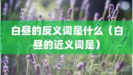 白昼的反义词是什么（白昼的近义词是）