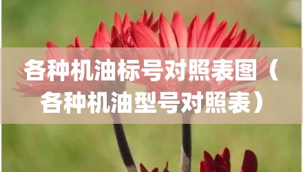 各种机油标号对照表图（各种机油型号对照表）