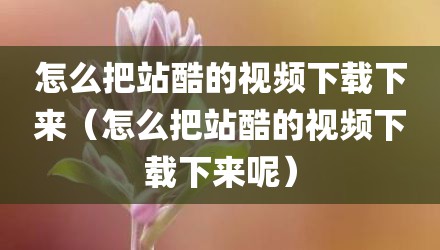 怎么把站酷的视频下载下来（怎么把站酷的视频下载下来呢）