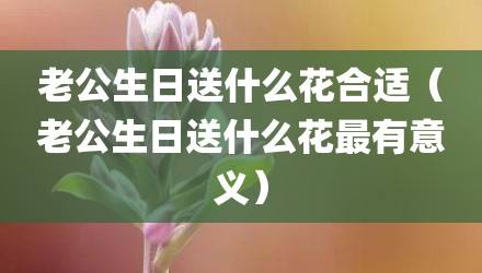 老公生日送什么花合适（老公生日送什么花最有意义）