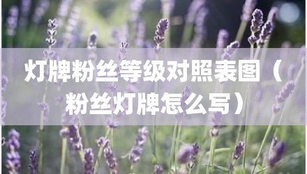 灯牌粉丝等级对照表图（粉丝灯牌怎么写）