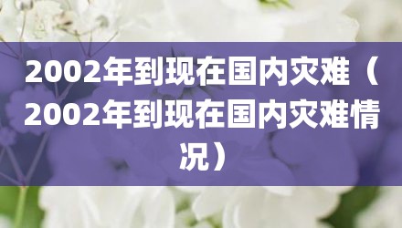 2002年到现在国内灾难（2002年到现在国内灾难情况）
