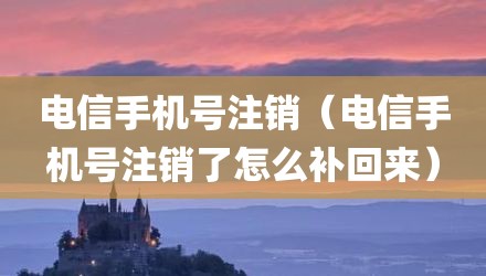 电信手机号注销（电信手机号注销了怎么补回来）