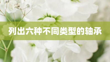 列出六种不同类型的轴承