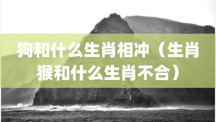 狗和什么生肖相冲（生肖猴和什么生肖不合）