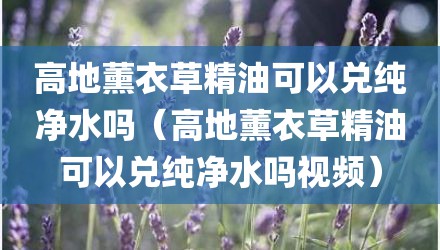 高地薰衣草精油可以兑纯净水吗（高地薰衣草精油可以兑纯净水吗视频）