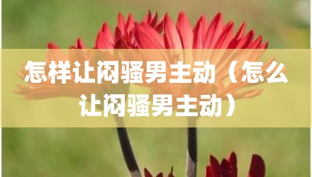 怎样让闷骚男主动（怎么让闷骚男主动）
