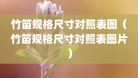 竹笛规格尺寸对照表图（竹笛规格尺寸对照表图片）