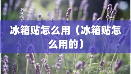 冰箱贴怎么用（冰箱贴怎么用的）