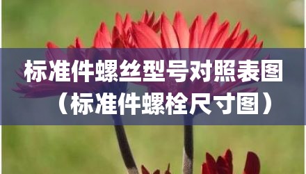 标准件螺丝型号对照表图（标准件螺栓尺寸图）