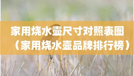 家用烧水壶尺寸对照表图（家用烧水壶品牌排行榜）
