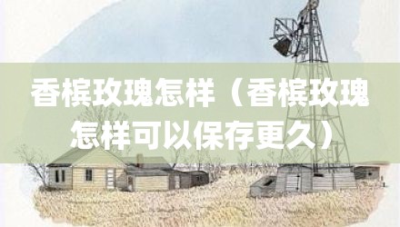香槟玫瑰怎样（香槟玫瑰怎样可以保存更久）