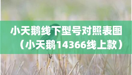 小天鹅线下型号对照表图（小天鹅14366线上款）