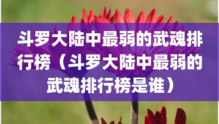 斗罗大陆中最弱的武魂排行榜（斗罗大陆中最弱的武魂排行榜是谁）