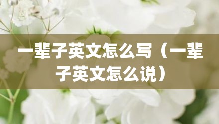 一辈子英文怎么写（一辈子英文怎么说）