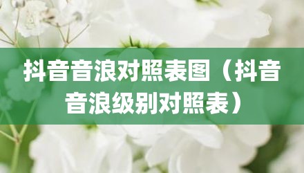 抖音音浪对照表图（抖音音浪级别对照表）