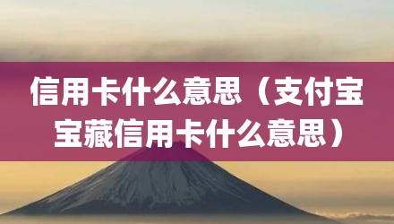 信用卡什么意思（支付宝宝藏信用卡什么意思）