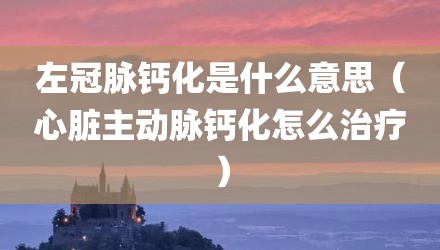 左冠脉钙化是什么意思（心脏主动脉钙化怎么治疗）