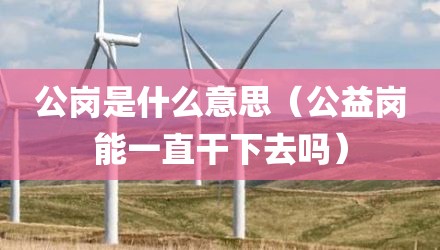 公岗是什么意思（公益岗能一直干下去吗）