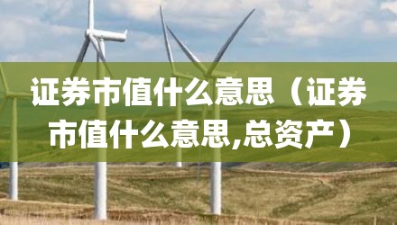 证券市值什么意思（证券市值什么意思,总资产）