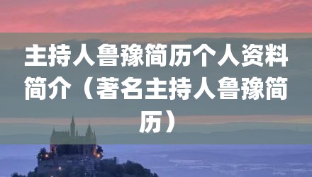 主持人鲁豫简历个人资料简介(著名主持人鲁豫简历)