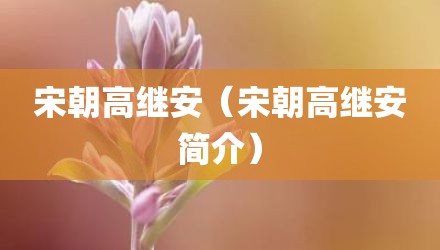 宋朝高继安（宋朝高继安简介）