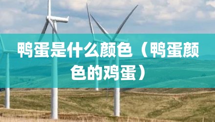 鸭蛋是什么颜色（鸭蛋颜色的鸡蛋）