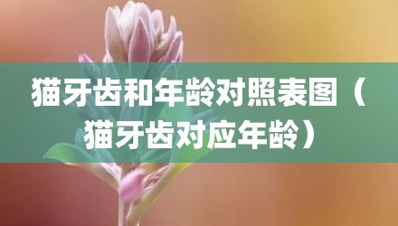 猫牙齿和年龄对照表图（猫牙齿对应年龄）