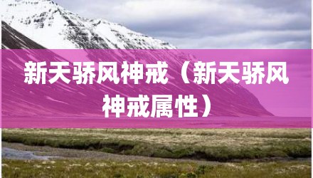 新天骄风神戒（新天骄风神戒属性）