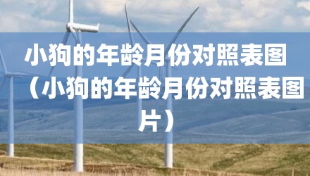 小狗的年龄月份对照表图（小狗的年龄月份对照表图片）