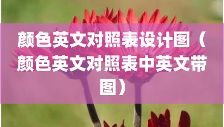 颜色英文对照表设计图（颜色英文对照表中英文带图）