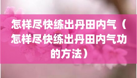 怎样尽快练出丹田内气（怎样尽快练出丹田内气功的方法）